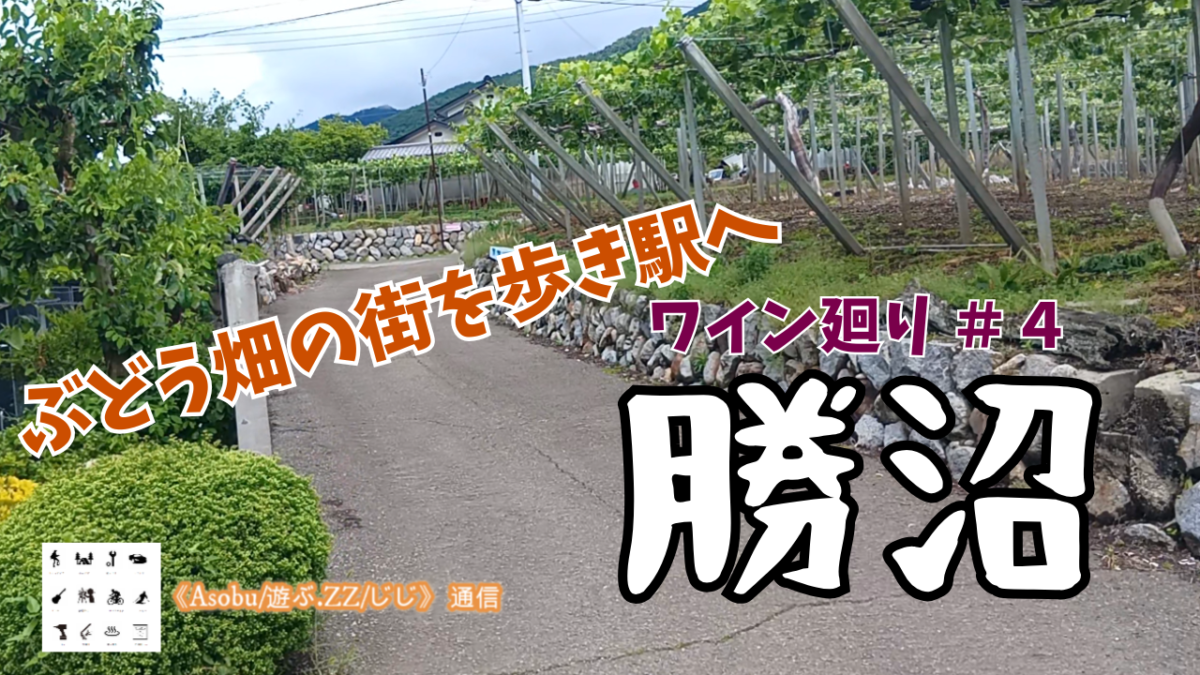 ◇勝沼ワイン廻り＃４【ぶどう畑の街を歩いて駅へ】ぶどうの丘から歩いて駅に向かったらぶどう、ワインのふる里の勝沼をより感じることができた